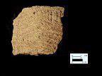 Mockley cord-marked body sherd from Dorr Site 18AN19/69.